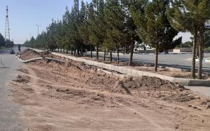 تصویر کوچک