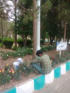 صورة مصغّرة