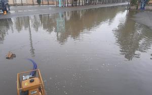 صورة مصغّرة