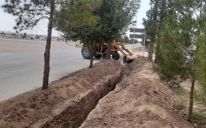تصویر کوچک