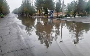 تصویر کوچک