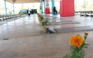تصویر کوچک