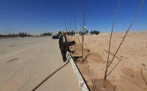 صورة مصغّرة