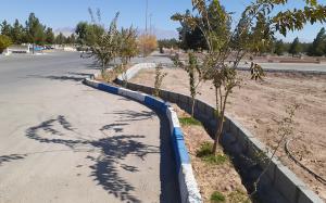 تصویر کوچک