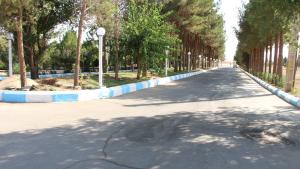 تصویر کوچک