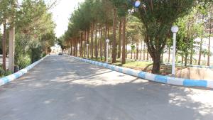 تصویر کوچک