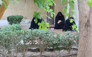 تصویر کوچک