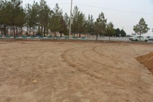 تصویر کوچک