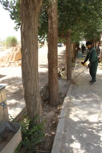 تصویر کوچک