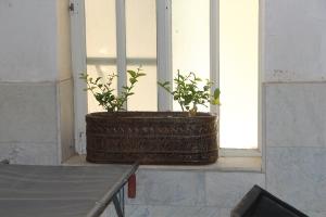 صورة مصغّرة
