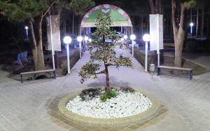 تصویر کوچک