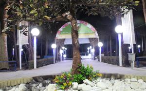 تصویر کوچک