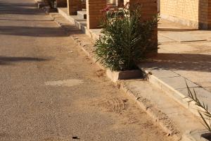 صورة مصغّرة
