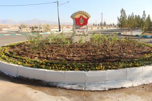 تصویر کوچک