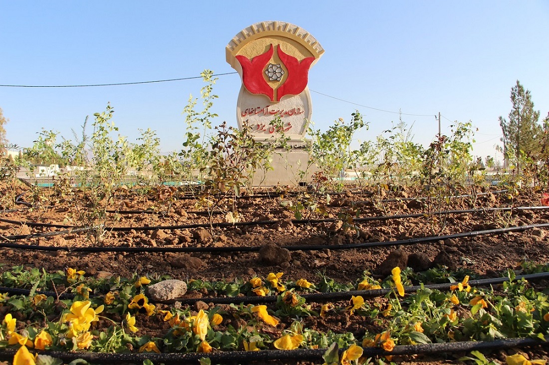 صورة مصغّرة